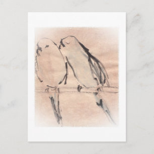 Carte Postale Une paire de perroquets collés en bleu