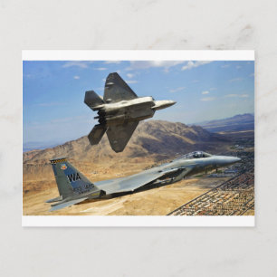 CARTE POSTALE UNE PAIRE DE RAPTOR