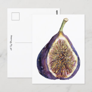 Carte Postale Une peinture sur figue