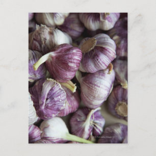 Carte Postale une pile d'ail frais affichée à vendre dans