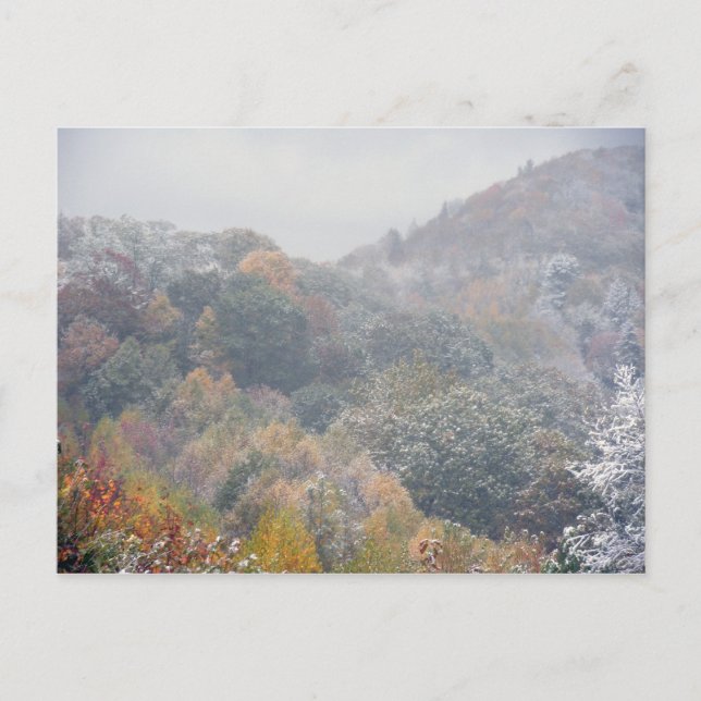 Carte Postale Une première neige à l'automne (Devant)