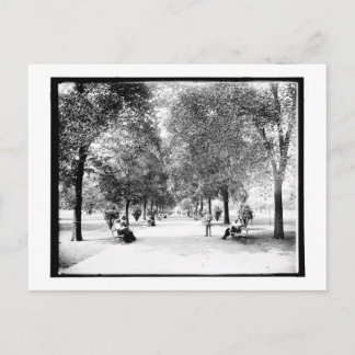 Carte Postale Une promenade à Lincoln Park, Chicago, Illinois Vi