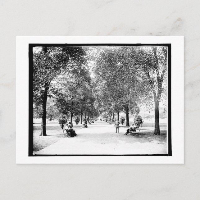 Carte Postale Une promenade à Lincoln Park, Chicago, Illinois Vi (Devant)