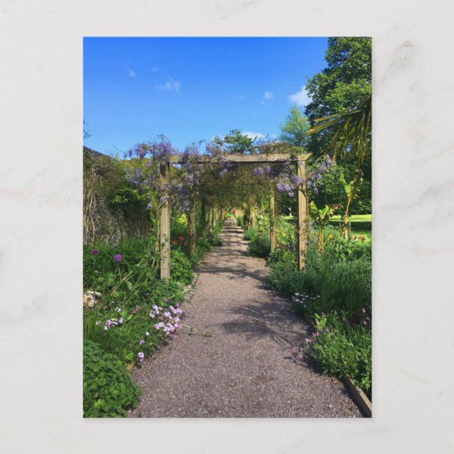 Carte Postale Une promenade à travers Wisteria (Devant)