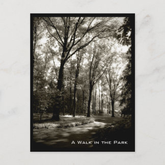 Carte Postale Une promenade dans le parc