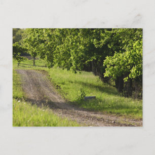 Carte Postale Une route agricole à Ipswich, Massachusetts.