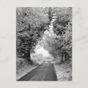 Carte Postale Une route champêtre en hiver