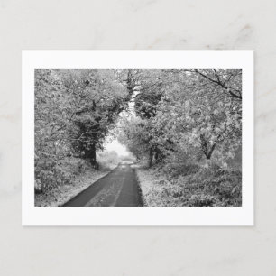 Carte Postale Une route de campagne en hiver : Cheshire, Anglete