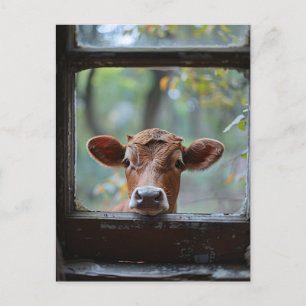 Carte Postale Une vache curieuse qui regarde à travers une fenêt