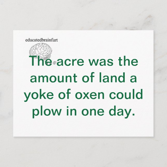 Carte Postale Une vérité (Devant)