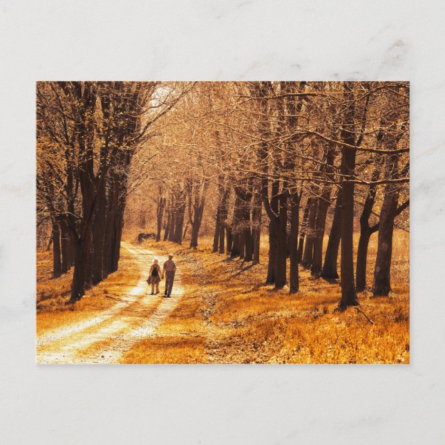 Carte Postale Une vie brillante (Devant)