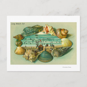Carte Postale Une vue Pittoresque bordée de coquillages