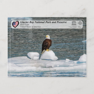 Carte Postale UNESCO - Parc national de la baie des Glaciers - A