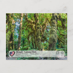 Carte Postale UNESCO - Parc national olympique - Forêt tropicale