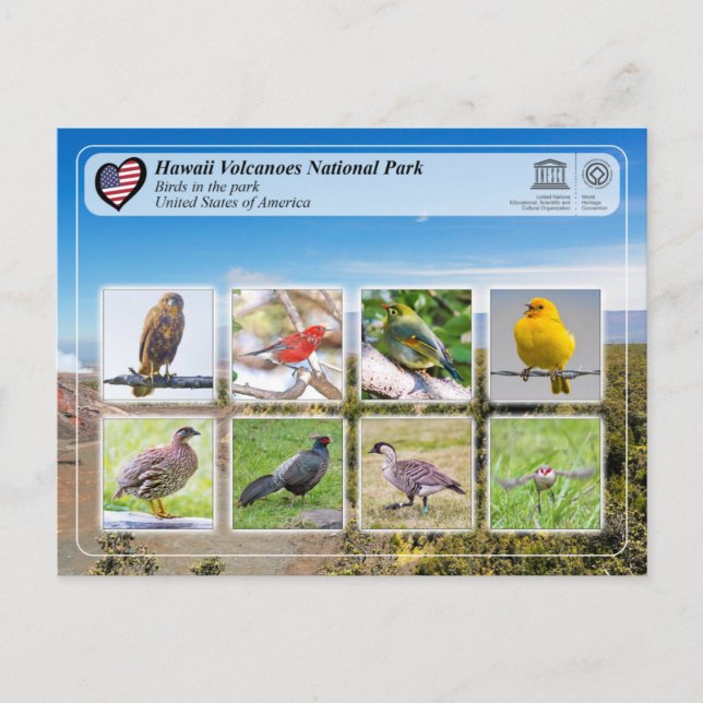 Carte Postale UNESCO WHS - Hawaii Volcanoes NP - Oiseaux (Devant)