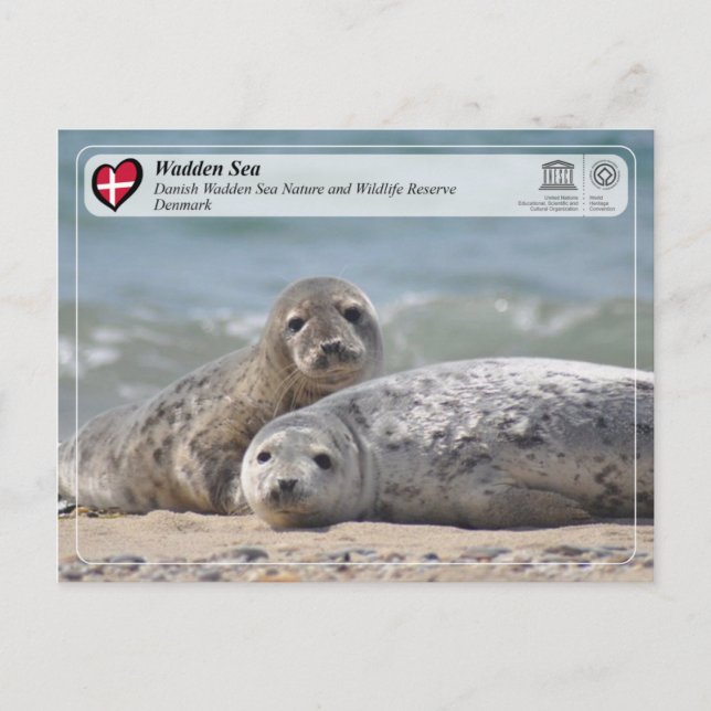 Carte Postale UNESCO WHS - Mer des Voies Danoises (Devant)