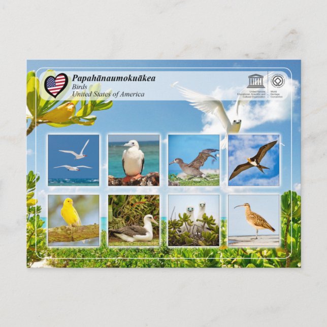 Carte Postale UNESCO WHS - Papahānaumokuākea - Oiseaux (Devant)
