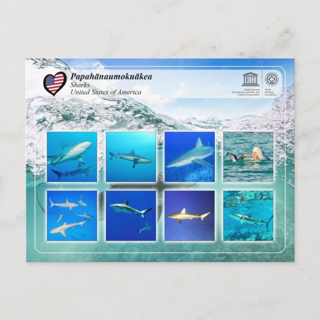 Carte Postale UNESCO WHS - Papahānaumokuākea - Requins (Devant)