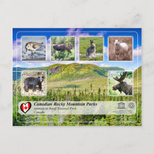 Carte Postale UNESCO WHS - Parc national du Gros Morne