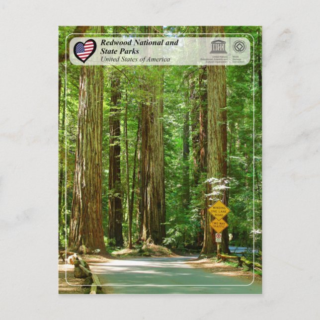 Carte Postale UNESCO WHS - Redwood National and State Parks (Devant)