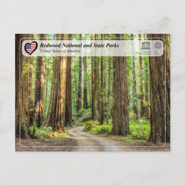 Carte Postale UNESCO WHS - Redwood National and State Parks (Devant)