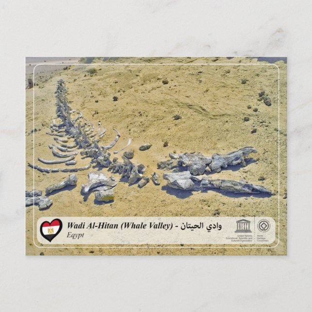 Carte Postale UNESCO WHS - Wadi Al-Hitan (Vallée des baleines) (Devant)
