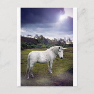 CARTE POSTALE UNICORN