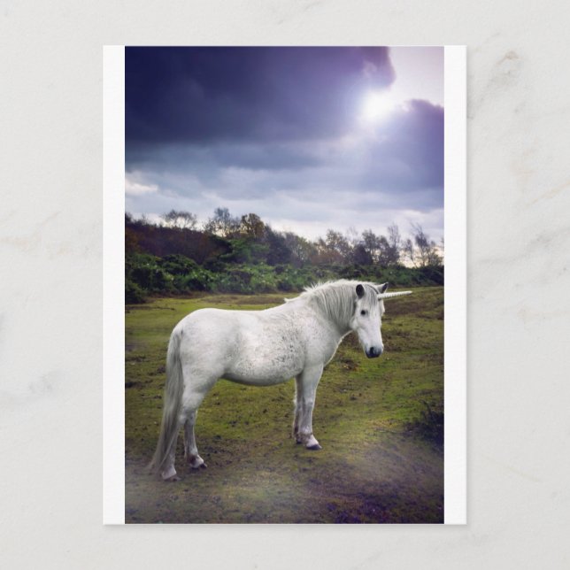 CARTE POSTALE UNICORN (Devant)