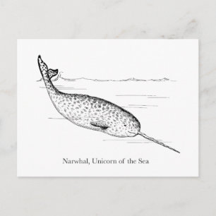 Carte Postale Unicorne de baleine de Narwhal de la mer
