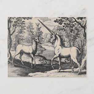 Carte Postale Unicorne et Stag dans la Forêt Magique