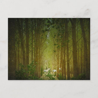 Carte Postale Unicornes