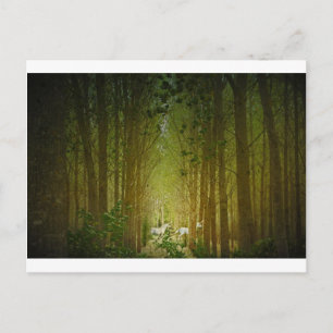 Carte Postale Unicornes