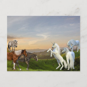 Carte Postale Unicorns Rencontre Chevaux Fanasy land