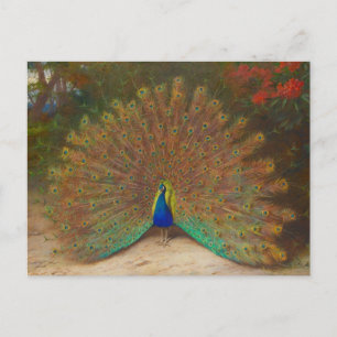 Carte postale unique de paon