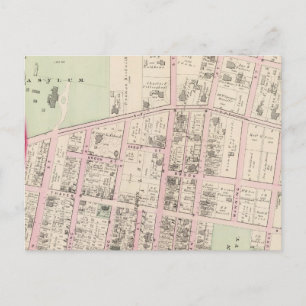 Carte Postale Université Brown