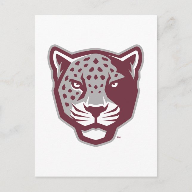 Carte Postale Université Texas A&M de San Antonio | Jaguars (Devant)