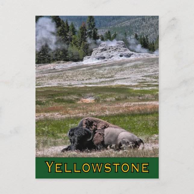 Carte postale : Upper Geyser Basin Sentinel (Devant)