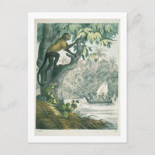 Carte Postale Upper reaches of the Amazon, from 'Le Livre des We