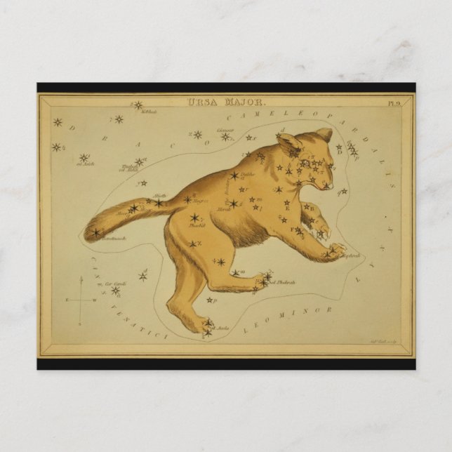 Carte Postale Ursa Major (Devant)