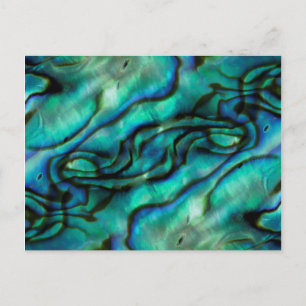 Carte Postale USA, Colorado, Lafayette. Montage d'abalone