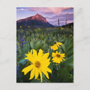 Carte Postale USA, Colorado, Mt. Crested Butte