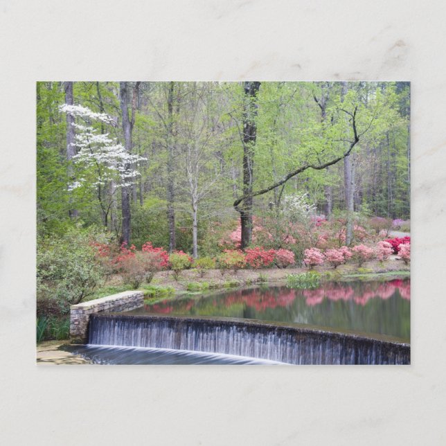 Carte Postale USA, Géorgie, Pine Mountain. Une petite cascade (Devant)