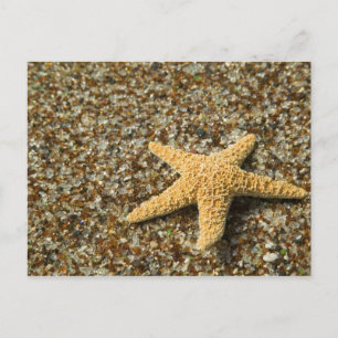 Carte Postale USA, HI, Kauai, Plage de verre avec poisson étoile