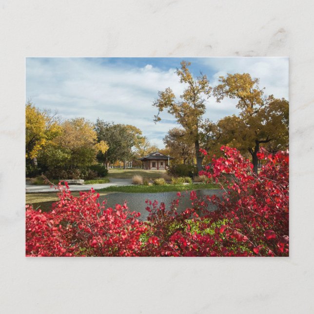 Carte Postale USA - Kansas - Centre-ville de Wichita (Devant)