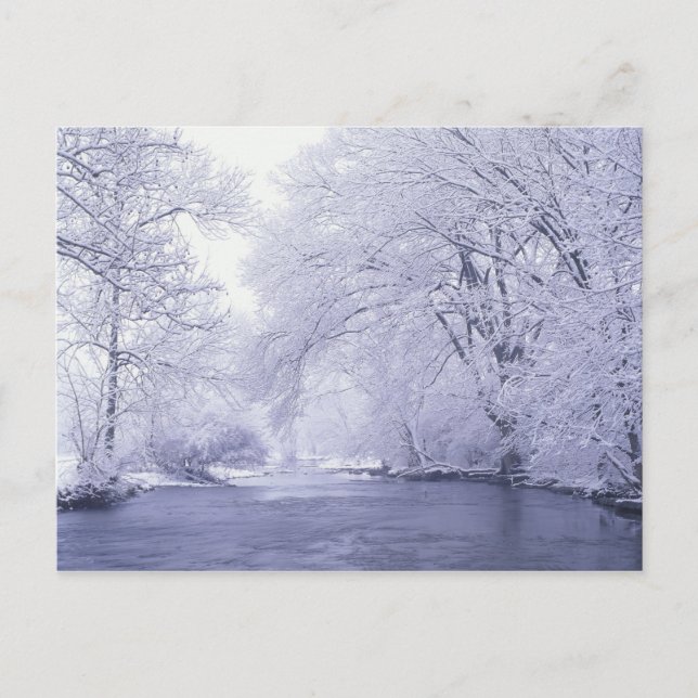Carte Postale USA, Kentucky, Louisville. Neige (Devant)
