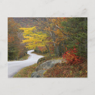 Carte Postale USA, Maine, Camden. Route à travers Camden