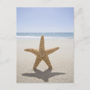 Carte Postale USA, Massachusetts, Cape Cod, Nantucket, fermeture