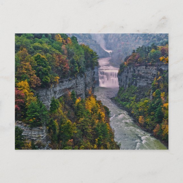 Carte Postale USA, New York, Letchworth State Park. Rivière et (Devant)