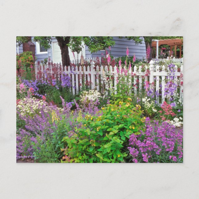 Carte Postale USA, Oregon, Portland. Explosion de Springtime (Devant)