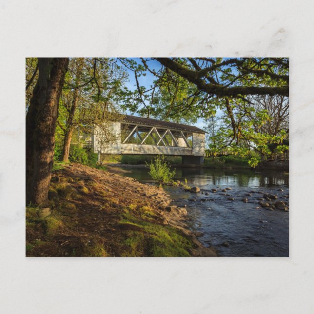 Carte Postale USA, Oregon, Scio, Larwood Wayside, Larwood 2 (Devant)
